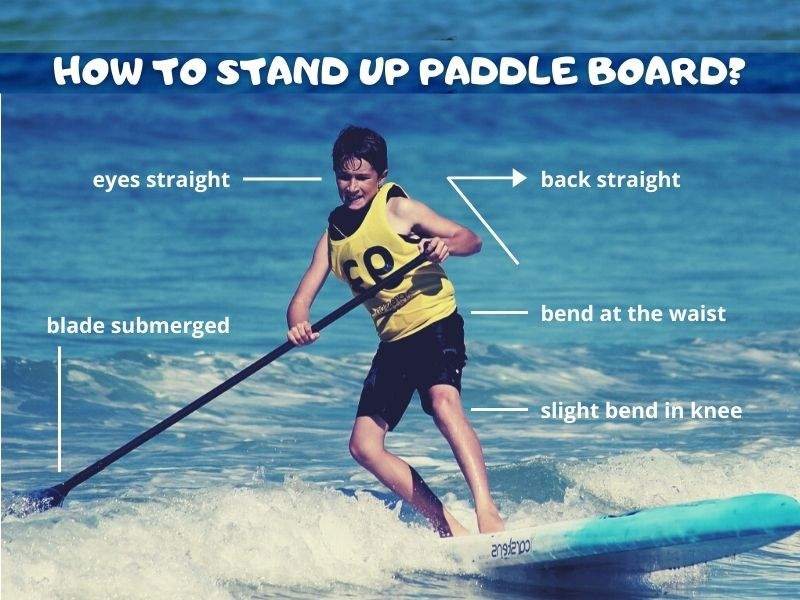 How To Stand Up Paddle Board (5 Useful Tips)